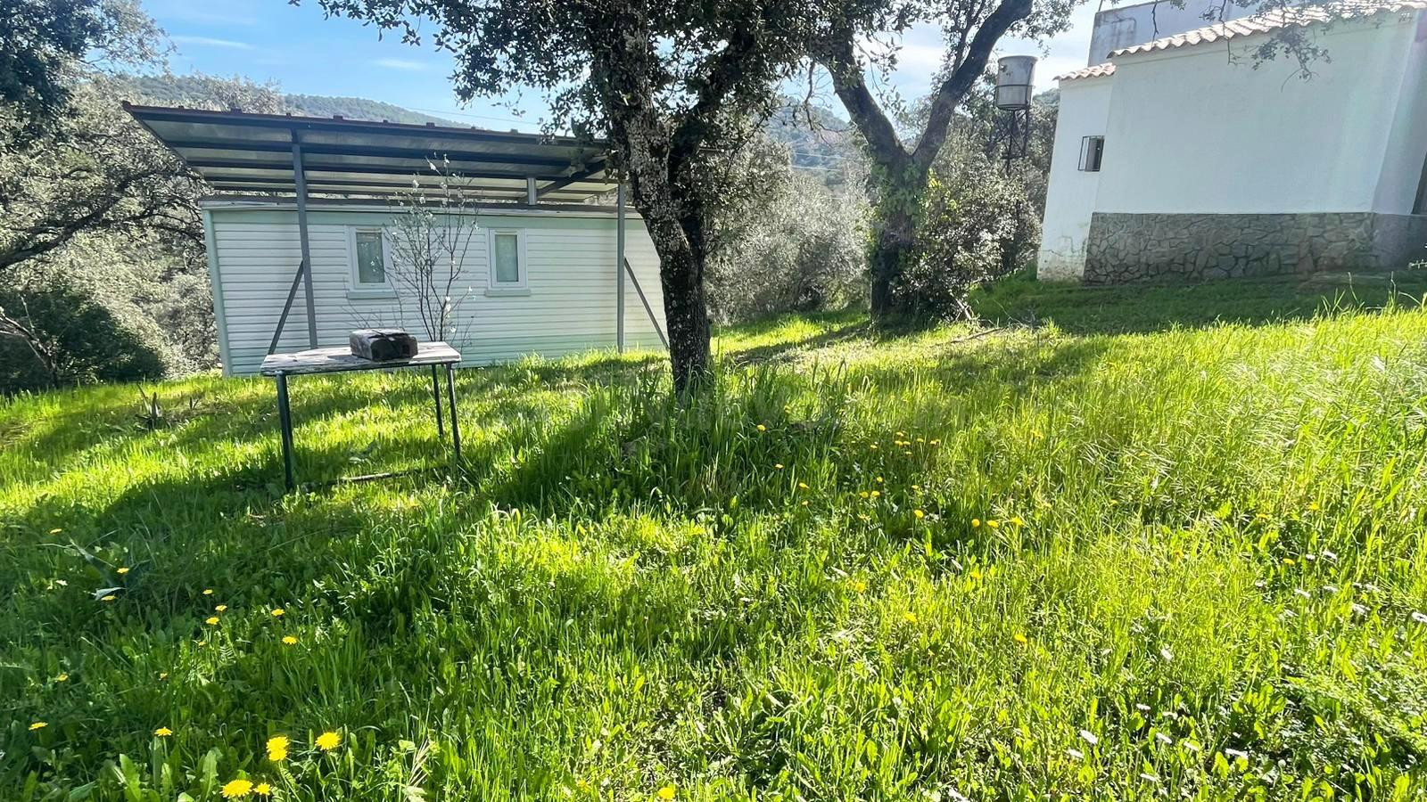 ¡¡ CASA CON TERRENO Y PISCINA EN VILLAHARTA!! - foto 31