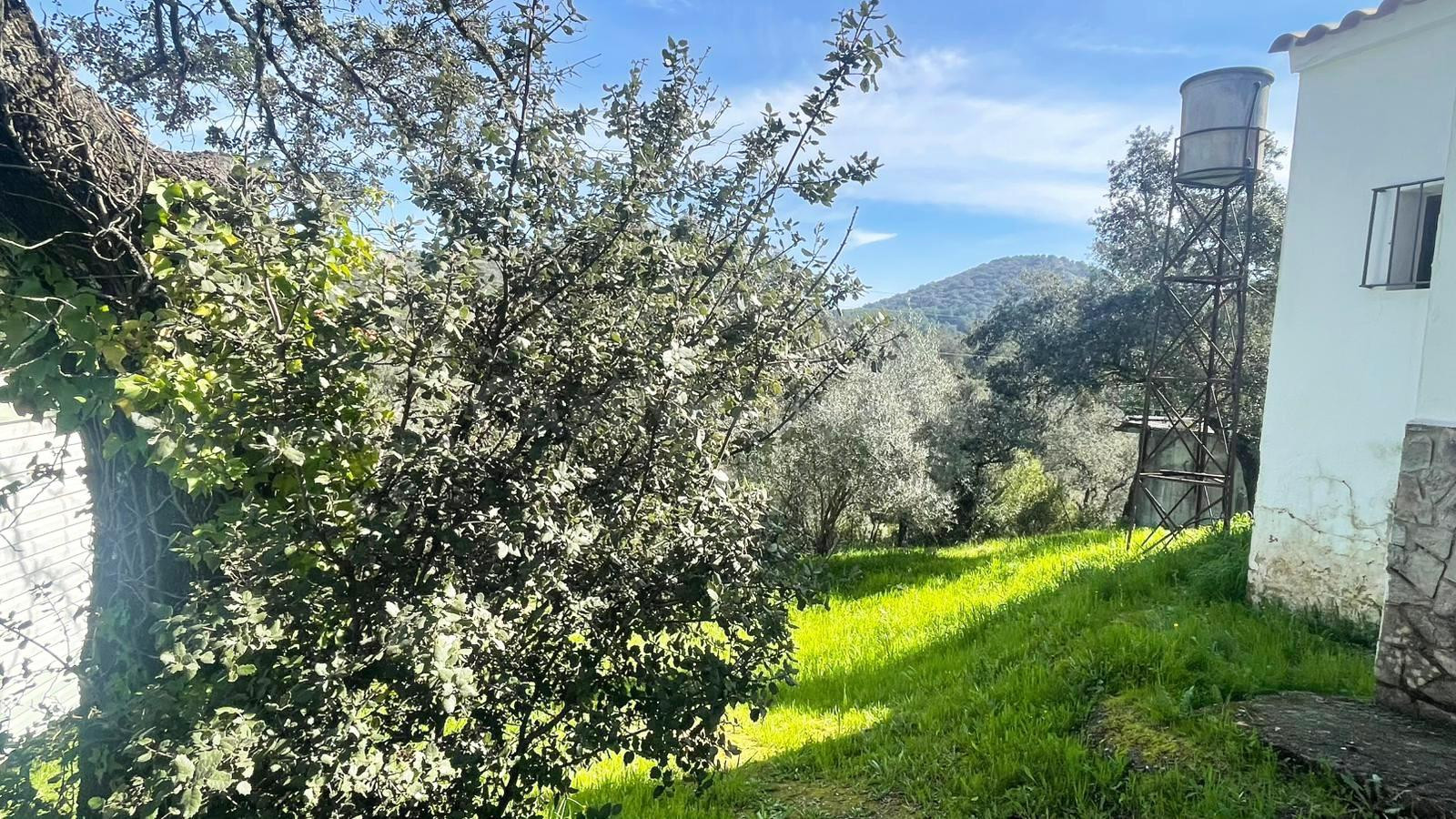 ¡¡ CASA CON TERRENO Y PISCINA EN VILLAHARTA!! - foto 35