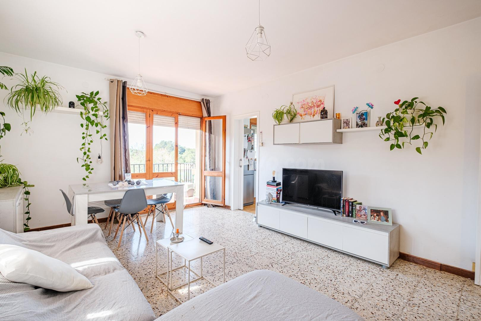 AMPLIA Y LUMINOSA CASA EN UNA SOLA PLANTA, CON PISCINA, GARA - foto 3