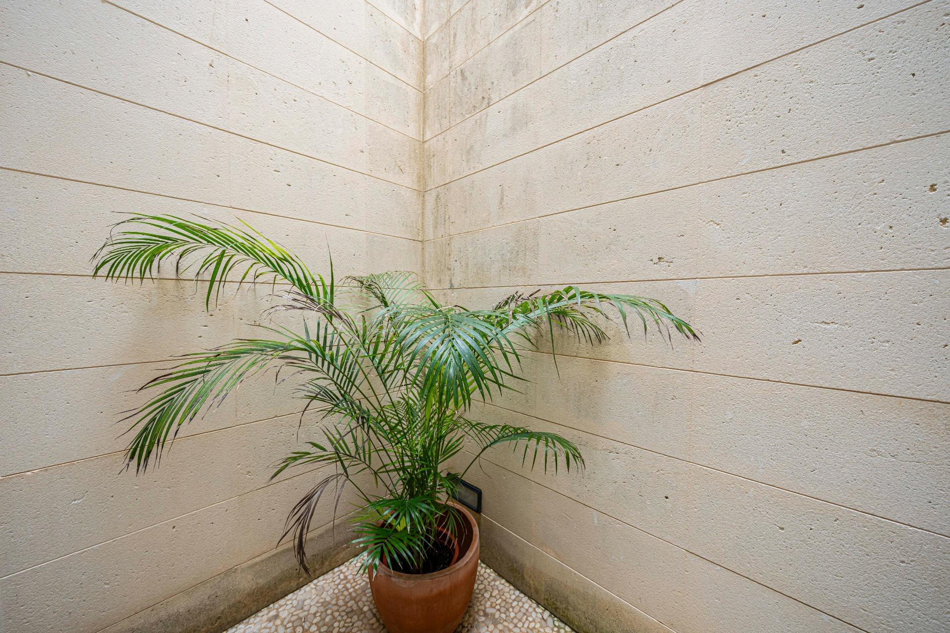 Piso frente al mar Cala San Vicente - foto 27