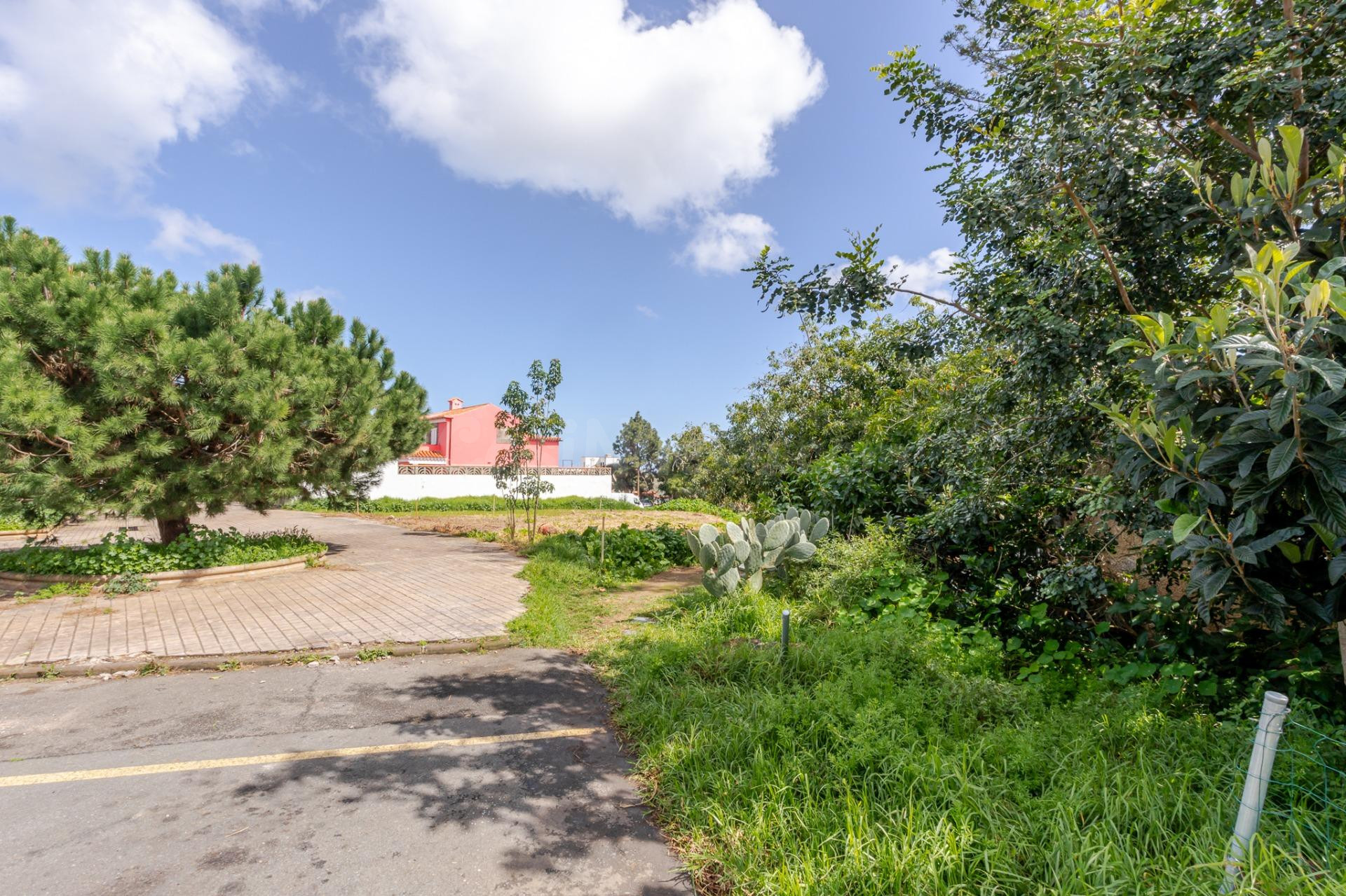 SOLAR URBANO EN LOS PORTALES!!!! - foto 5