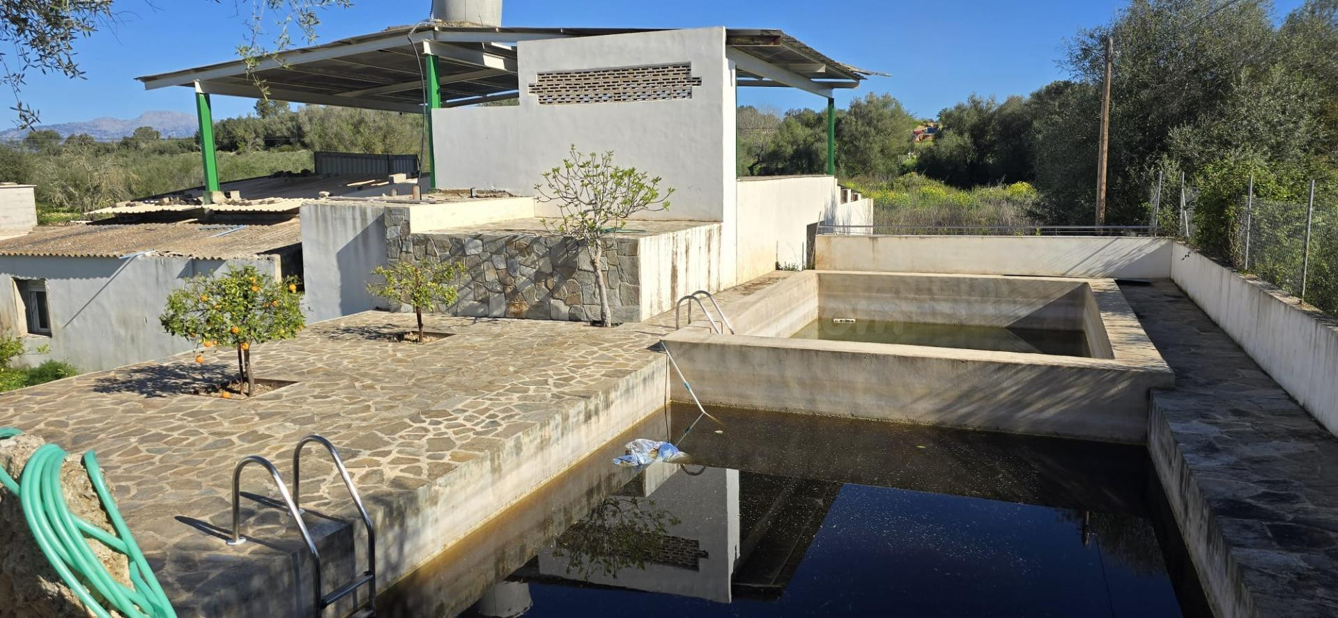Finca con 3 viviendas Ideal para Inversores o Familias Numer - foto 5