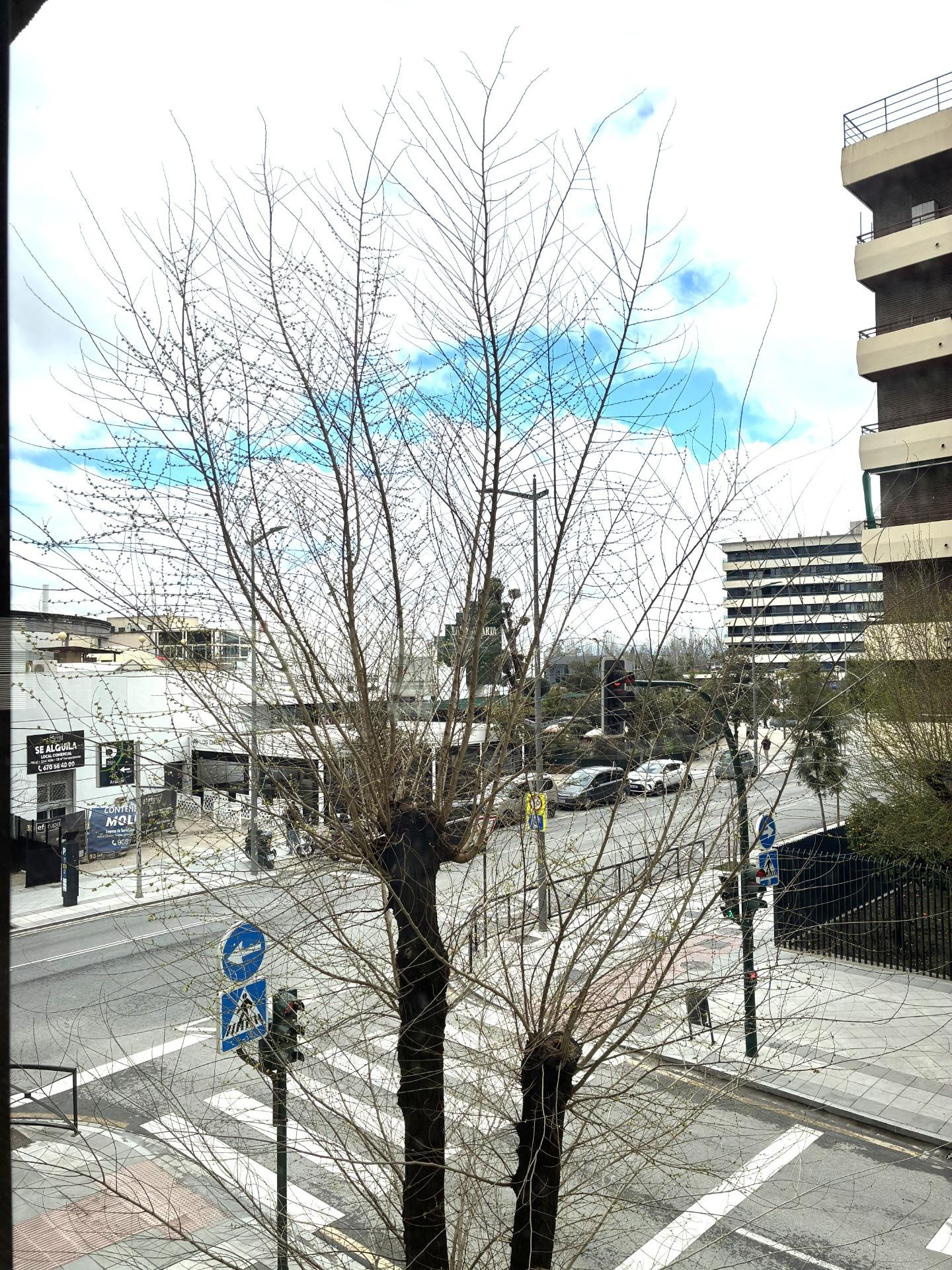 Gran oficina de alquiler cercana al centro Recogidas - foto 3