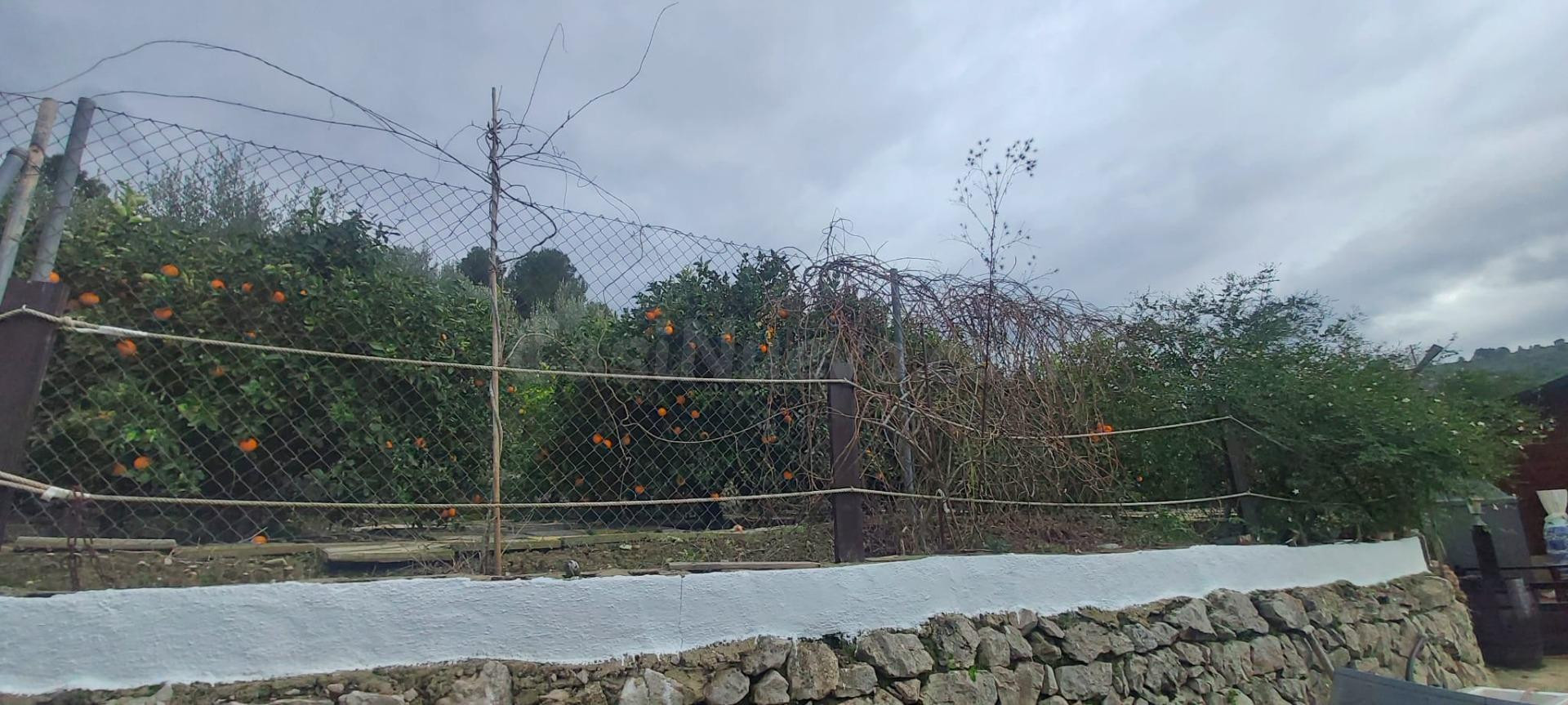 PRECIOSA CASA RODEADA DE NATURALEZA EN LA MONTAÑA DE PEDREGU - foto 45