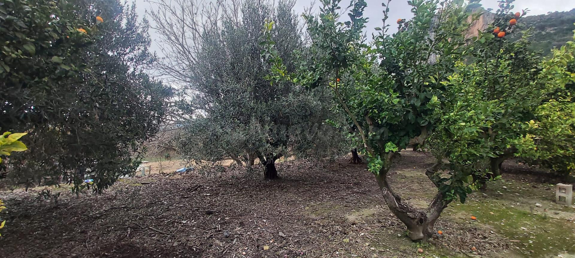 PRECIOSA CASA RODEADA DE NATURALEZA EN LA MONTAÑA DE PEDREGU - foto 46