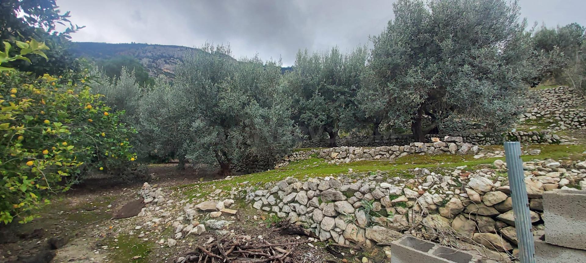 PRECIOSA CASA RODEADA DE NATURALEZA EN LA MONTAÑA DE PEDREGU - foto 47