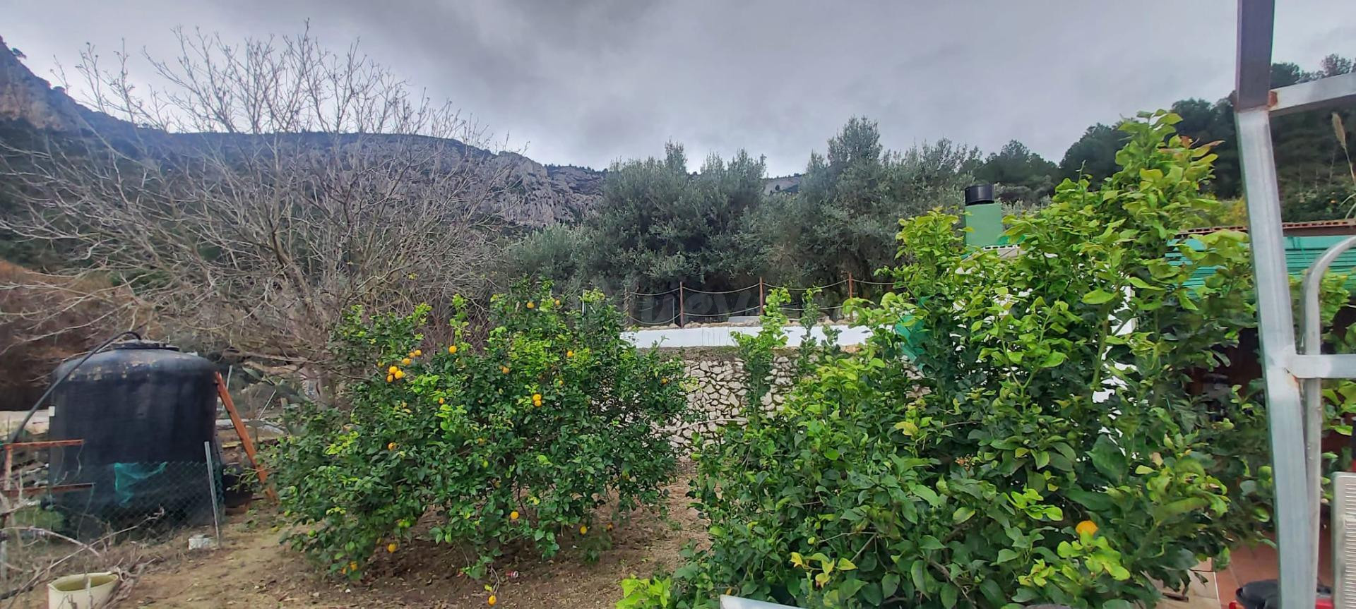 PRECIOSA CASA RODEADA DE NATURALEZA EN LA MONTAÑA DE PEDREGU - foto 49