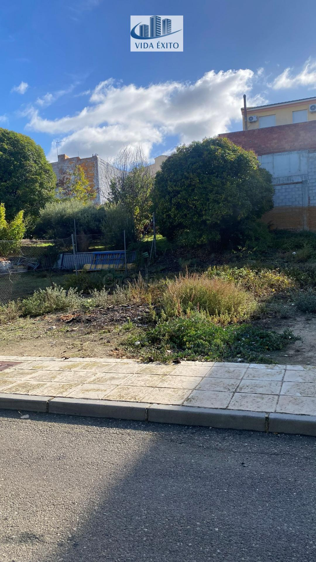 SOLAR URBANO EN LOS VILLARES - foto 2