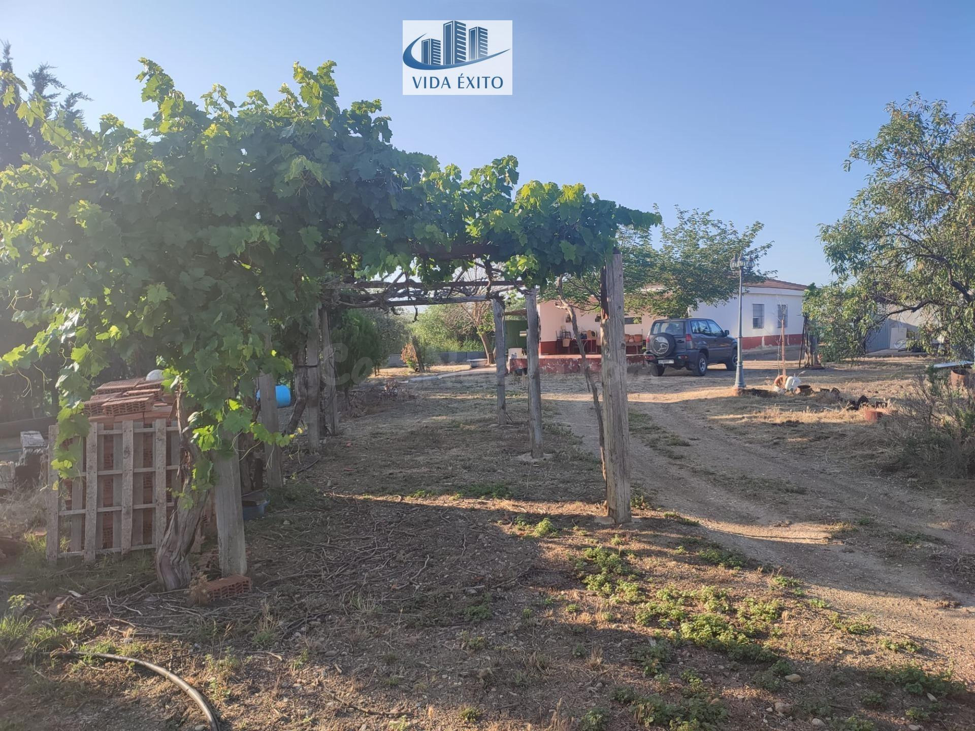 CHALET EN LAS INFANTAS - foto 15