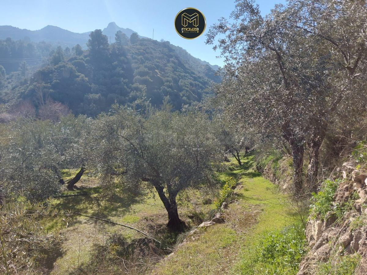 CHALET EN LOS VADILLOS - foto 8