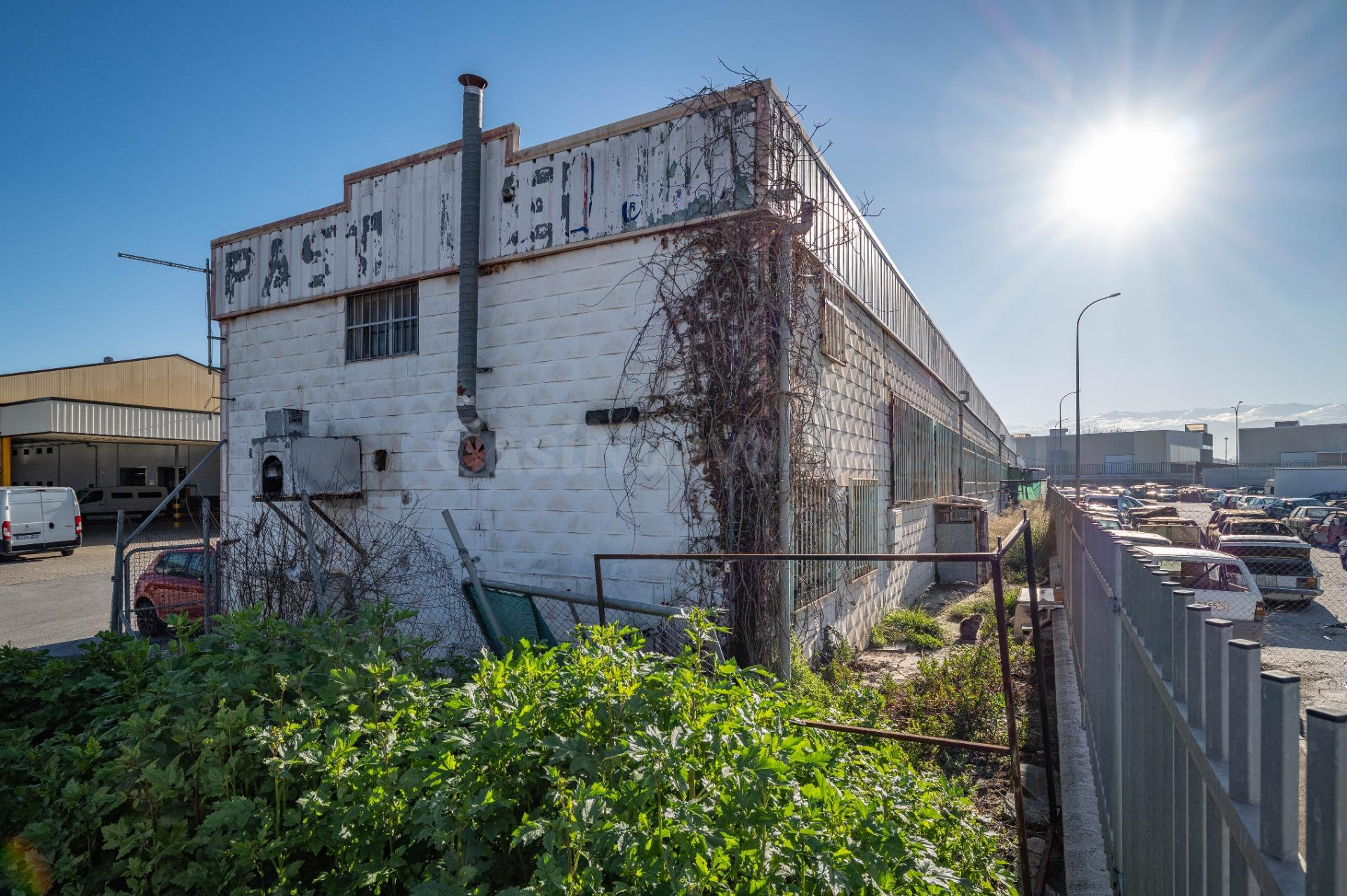 Estupenda Nave en Mercagranada - foto 13