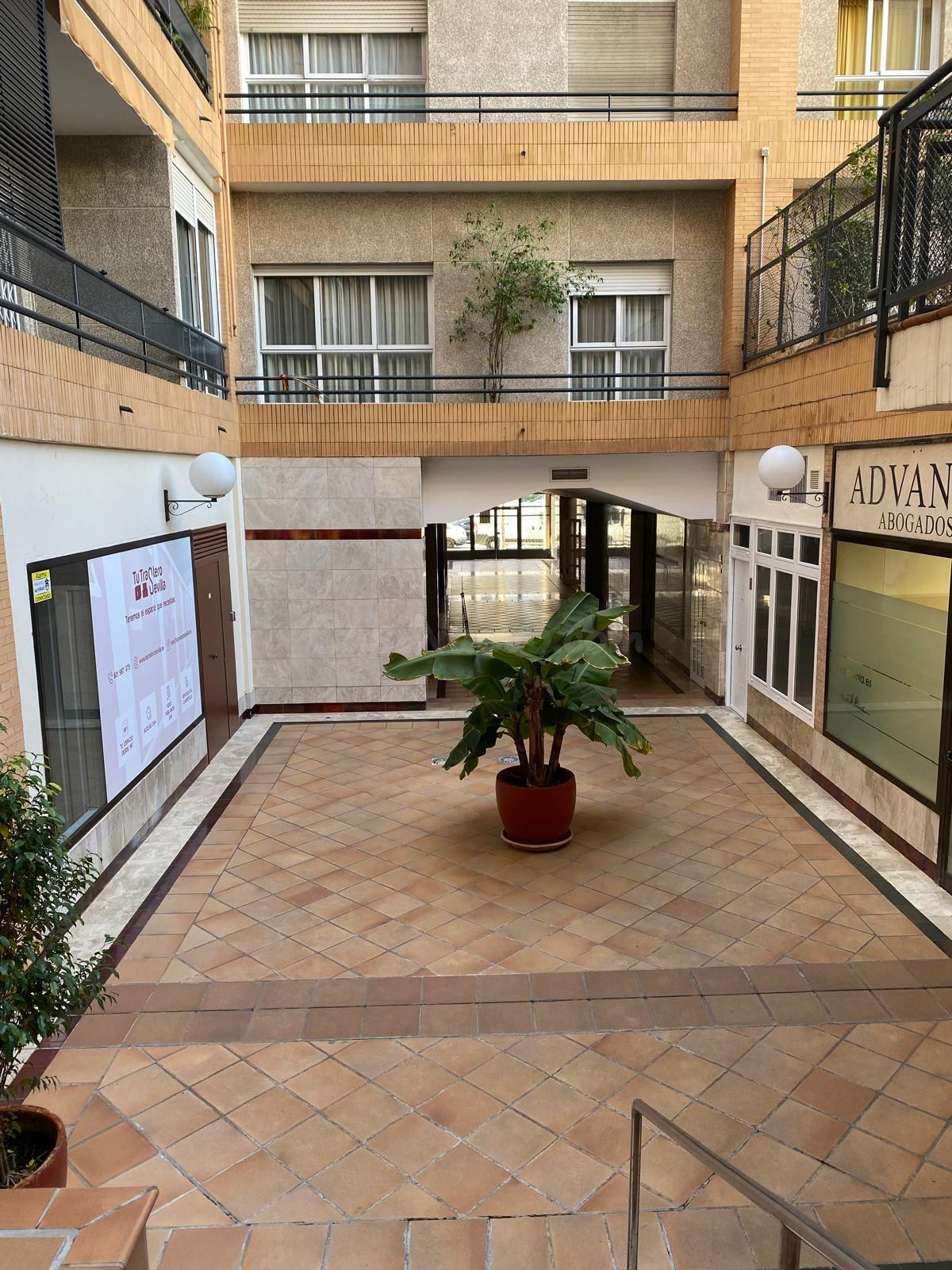 Nervion, Ramon y Cajal. Excelente y bonito apartamento amueb - foto 20