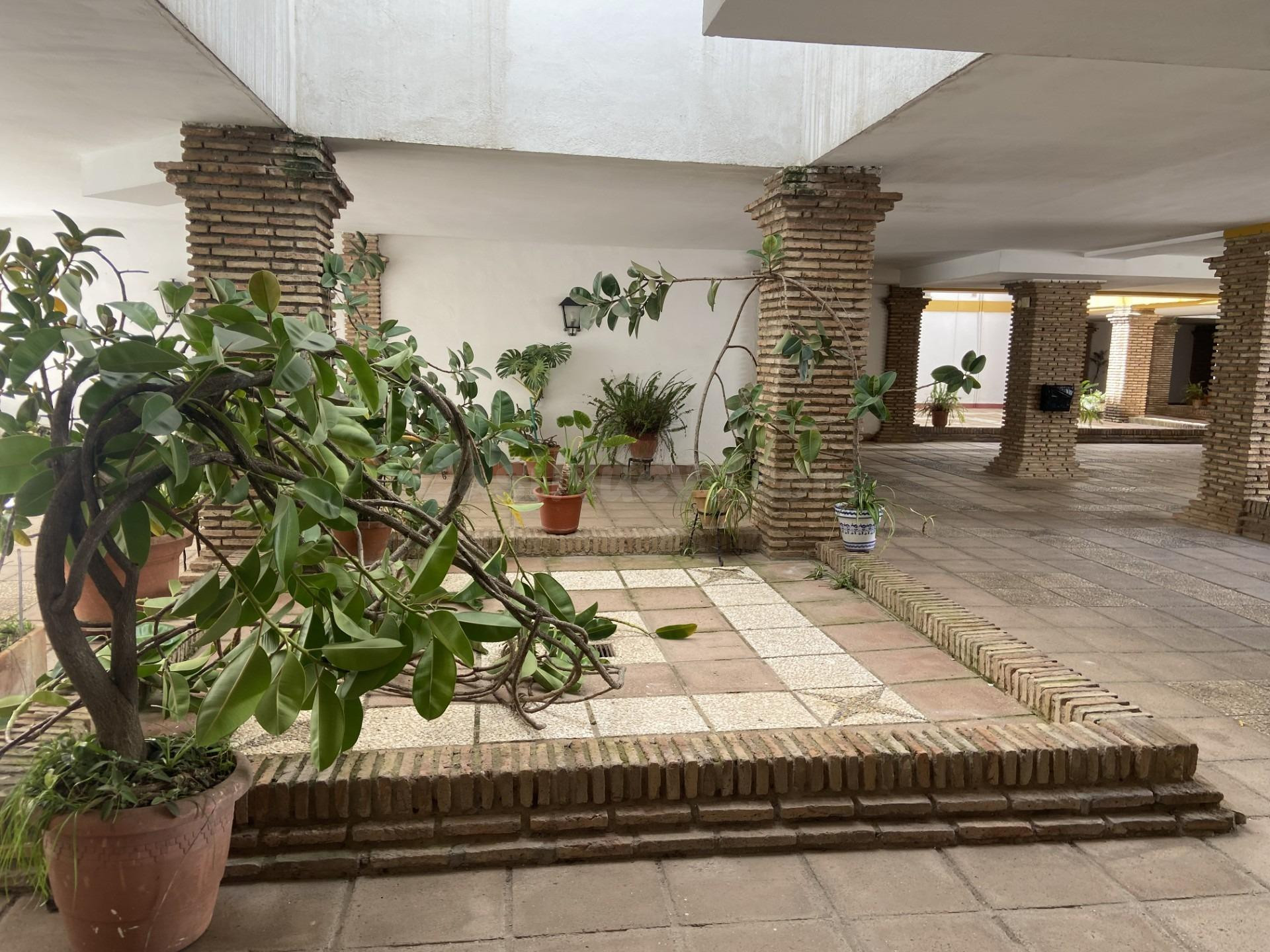 Amplio y Luminoso Piso en Plaza de San Rafael - foto 27