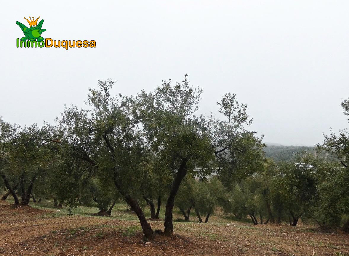 Finca rústica en Peligros - Sierra de la Alfaguara. - foto 2