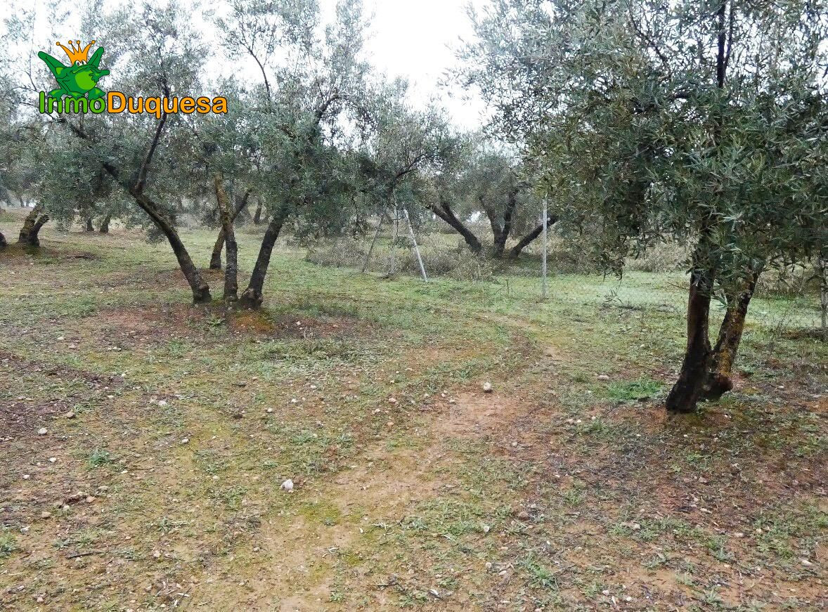 Finca rústica en Peligros - Sierra de la Alfaguara. - foto 3