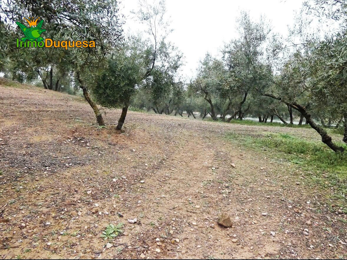 Finca rústica en Peligros - Sierra de la Alfaguara. - foto 7