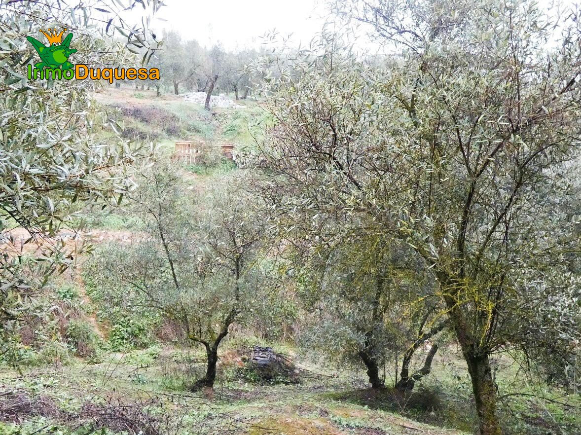 Finca rústica en Peligros - Sierra de la Alfaguara. - foto 9