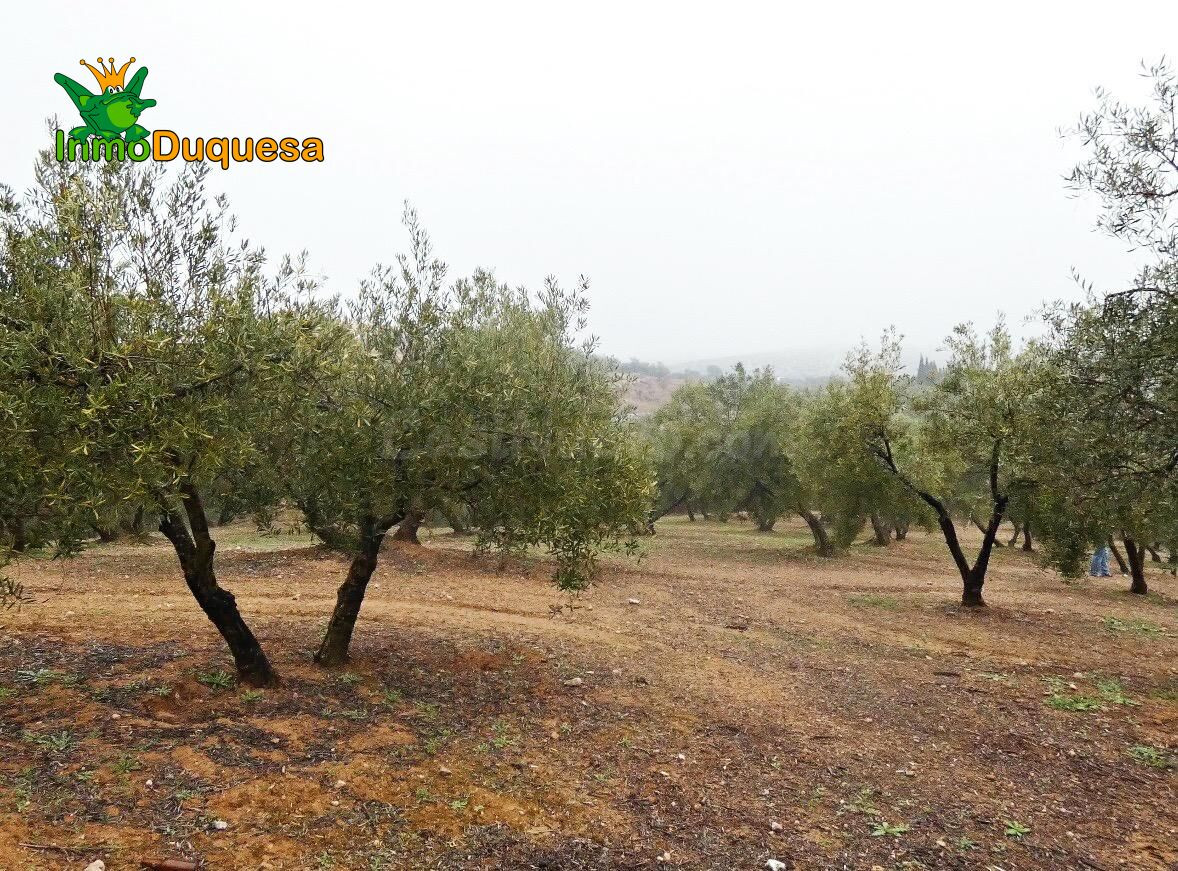 Finca rústica en Peligros - Sierra de la Alfaguara. - foto 11