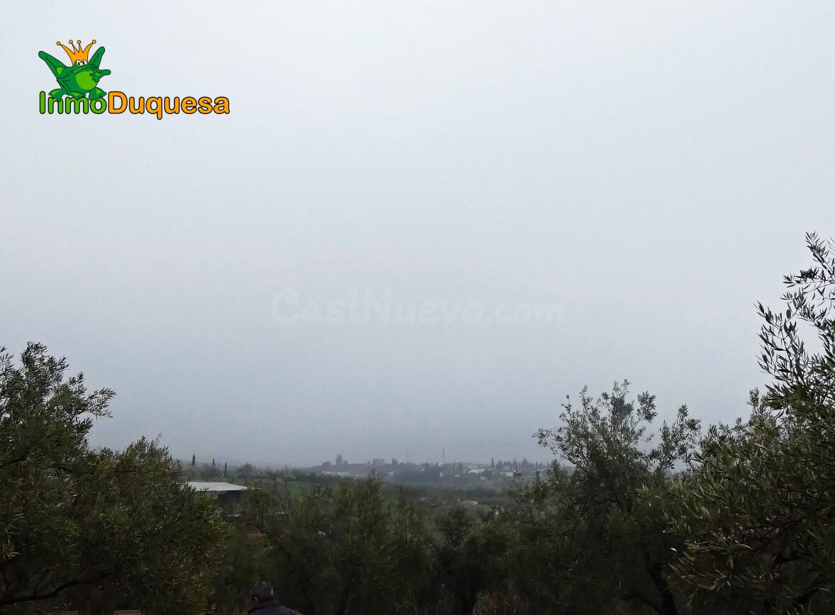 Finca rústica en Peligros - Sierra de la Alfaguara. - foto 13