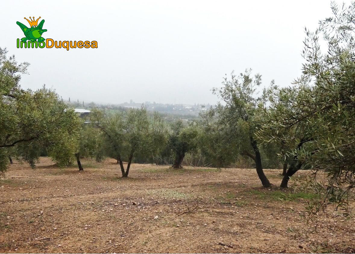 Finca rústica en Peligros - Sierra de la Alfaguara. - foto 14