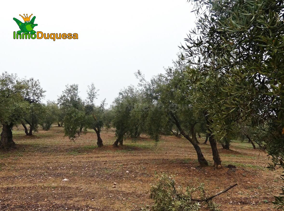 Finca rústica en Peligros - Sierra de la Alfaguara. - foto 16