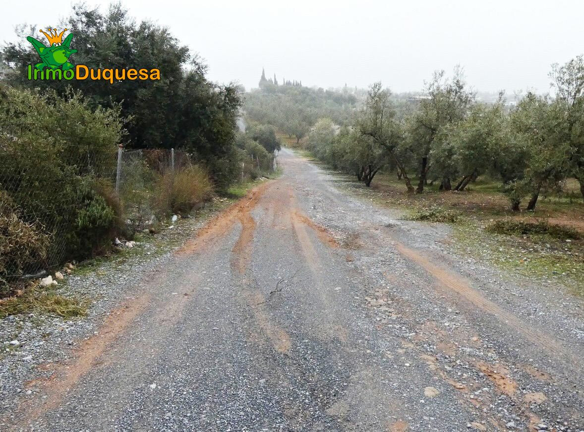 Finca rústica en Peligros - Sierra de la Alfaguara. - foto 17