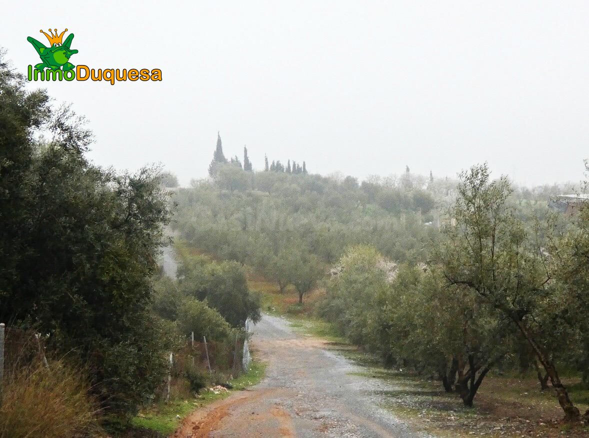 Finca rústica en Peligros - Sierra de la Alfaguara. - foto 18