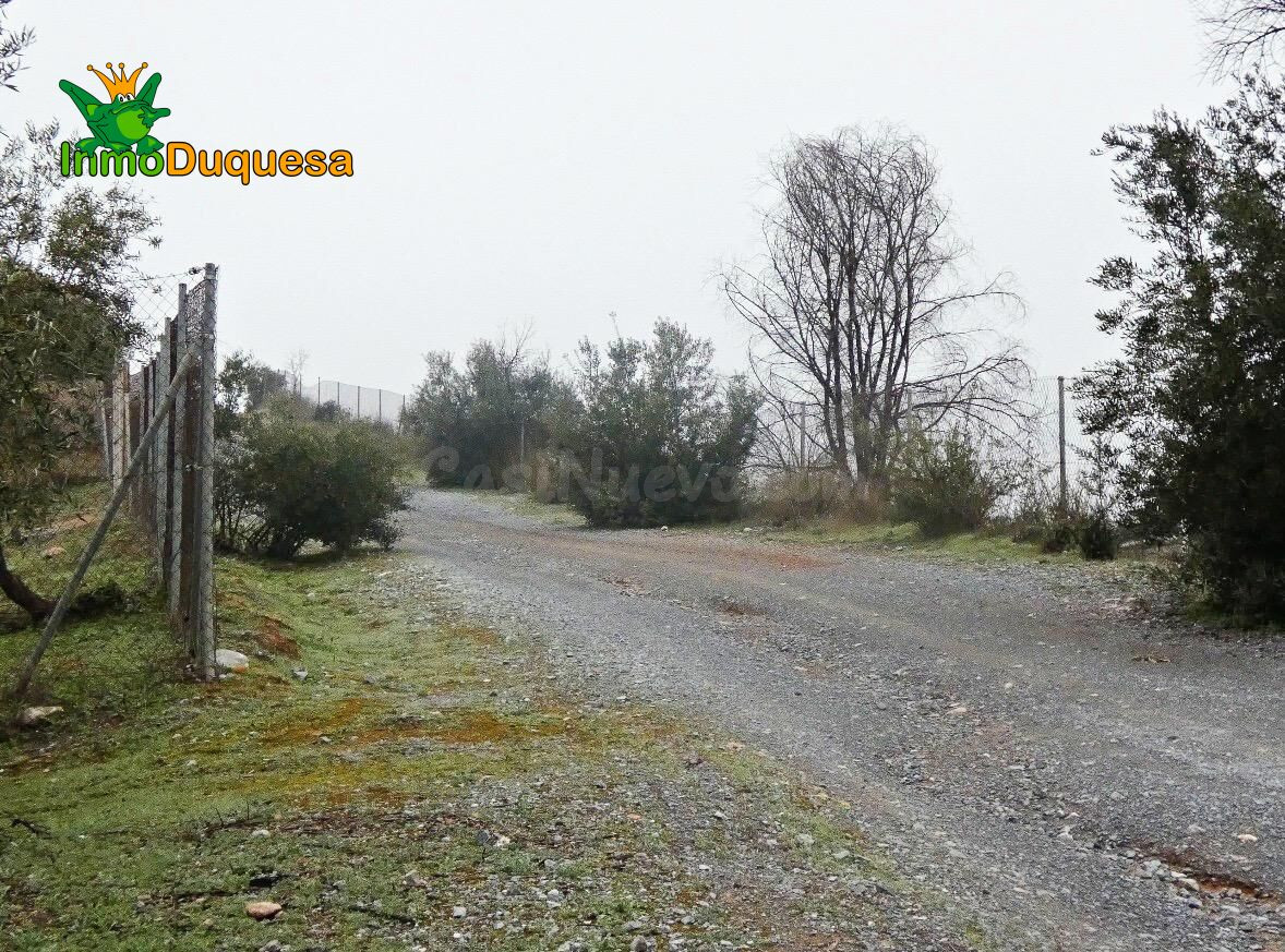 Finca rústica en Peligros - Sierra de la Alfaguara. - foto 19