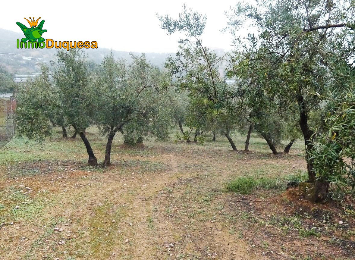 Finca rústica en Peligros - Sierra de la Alfaguara. - foto 21