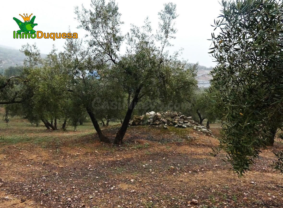 Finca rústica en Peligros - Sierra de la Alfaguara. - foto 22