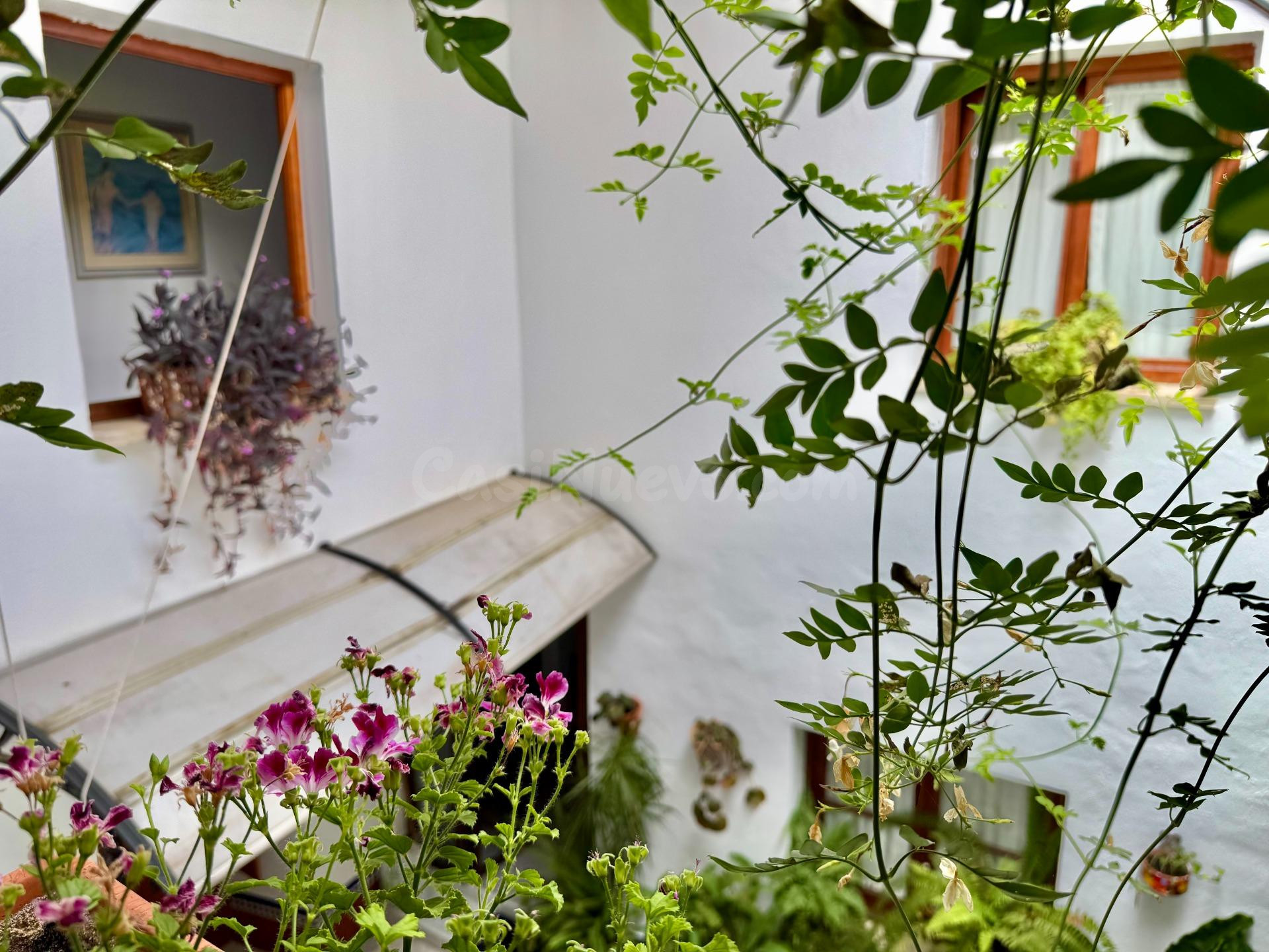 GRAN CASA JUNTO A LA MEZQUITA - foto 41