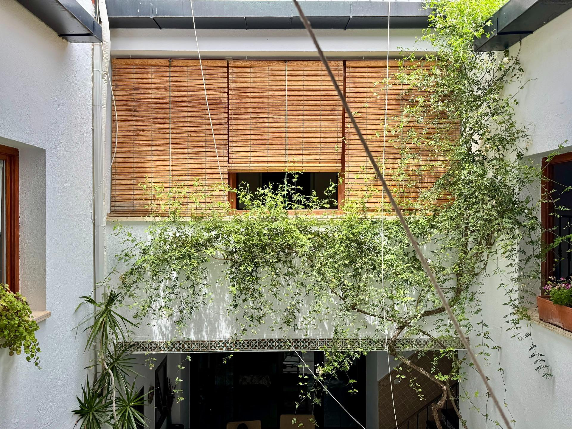 GRAN CASA JUNTO A LA MEZQUITA - foto 42