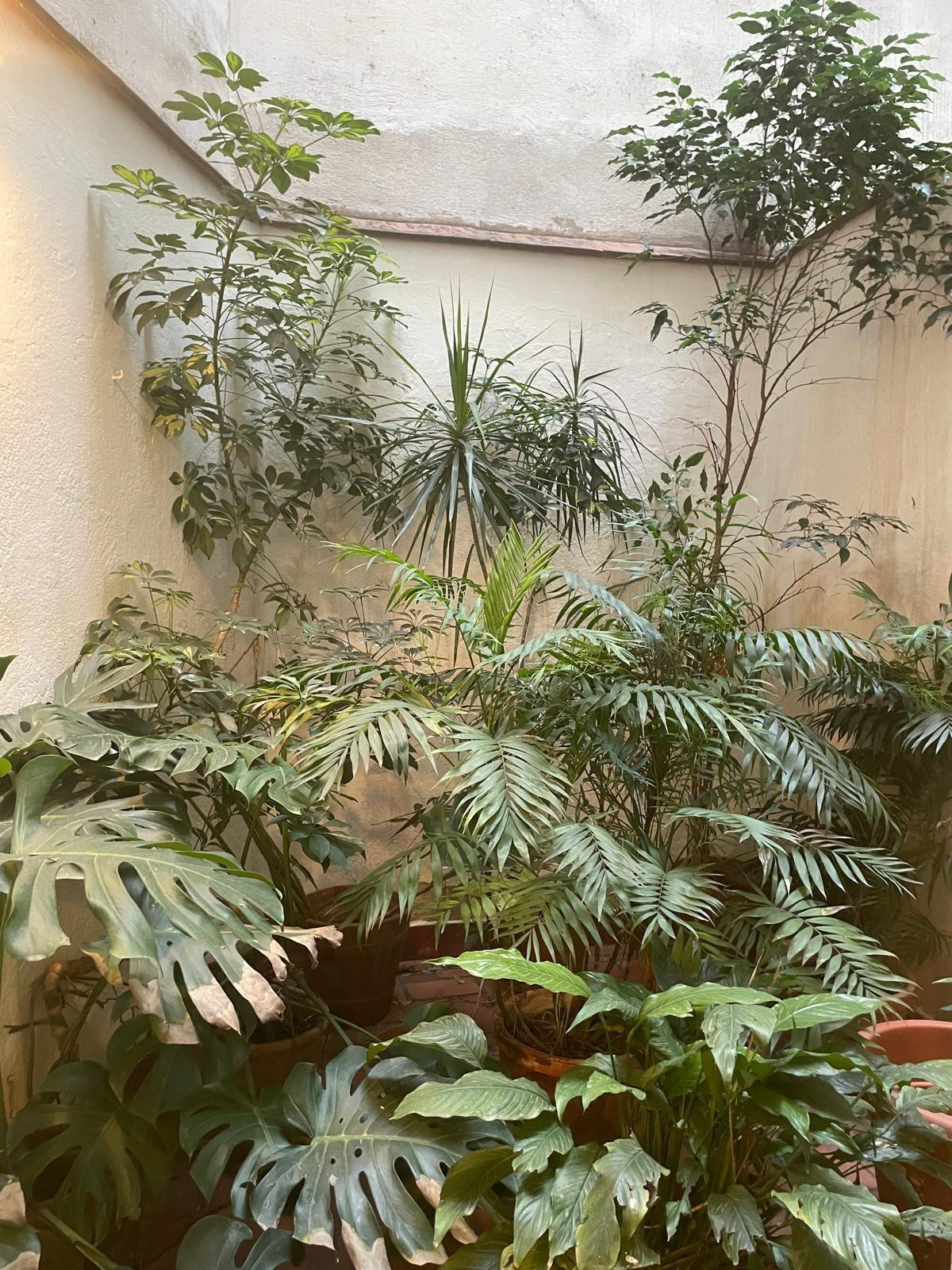 EXCELENTE APARTAMENTO EN EL CENTRO - foto 16