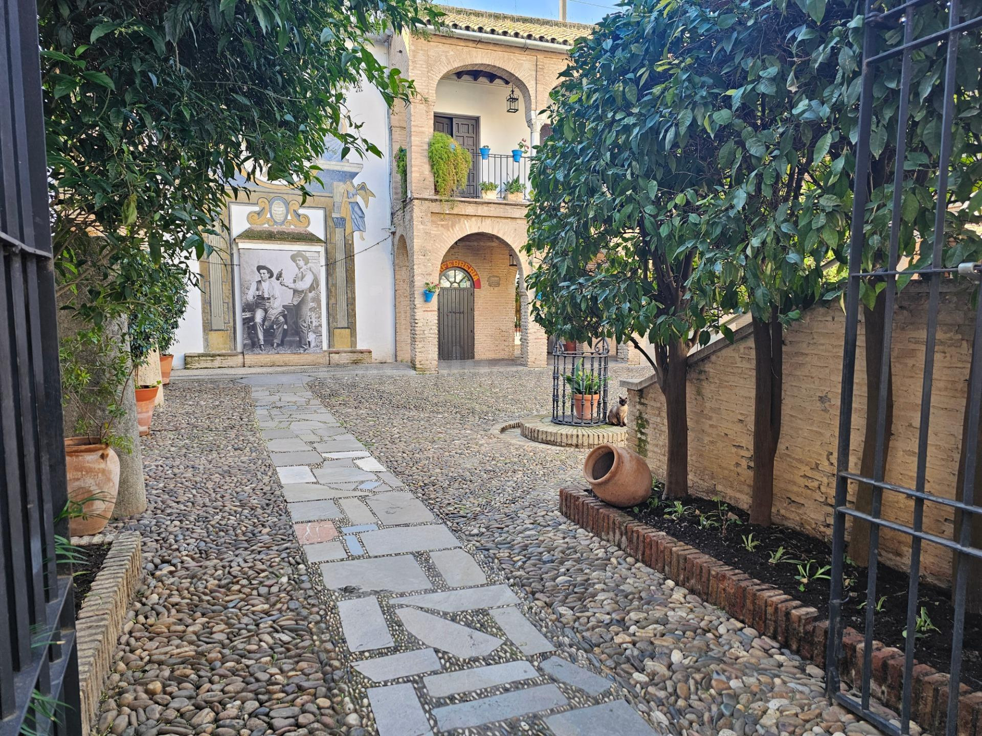 FANTÁSTICO DÚPLEX EN LA JUDERÍA - foto 5