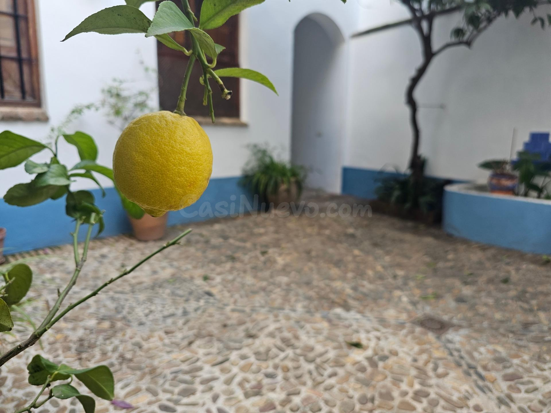 FANTÁSTICO DÚPLEX EN LA JUDERÍA - foto 47