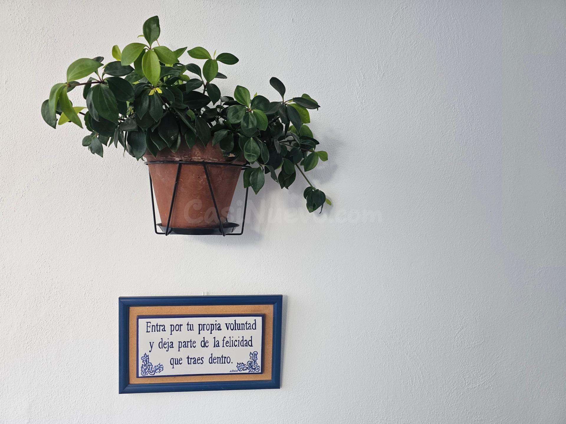 D. Fantástico dúplex en plena Judería. 3 dormitorios y 2 bañ - foto 17