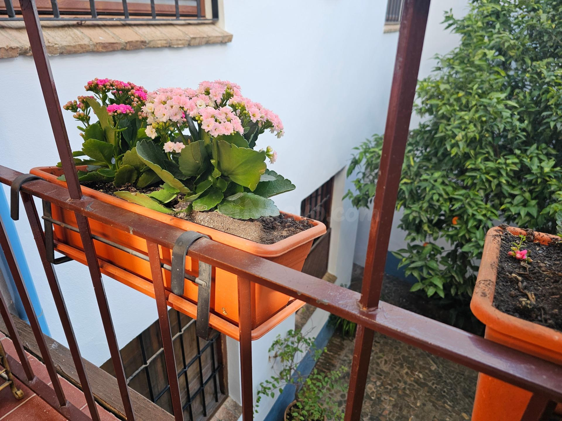 D. Fantástico dúplex en plena Judería. 3 dormitorios y 2 bañ - foto 46