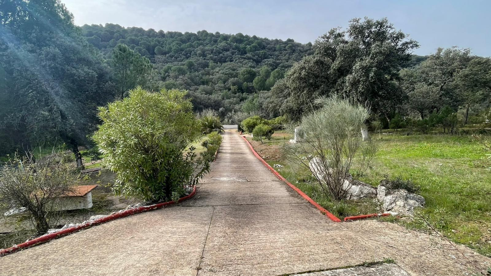 D. ¡¡ CASA RÚSTICA NO HIPOTECABLE CON TERRENO DE 2.900 M2, P - foto 3