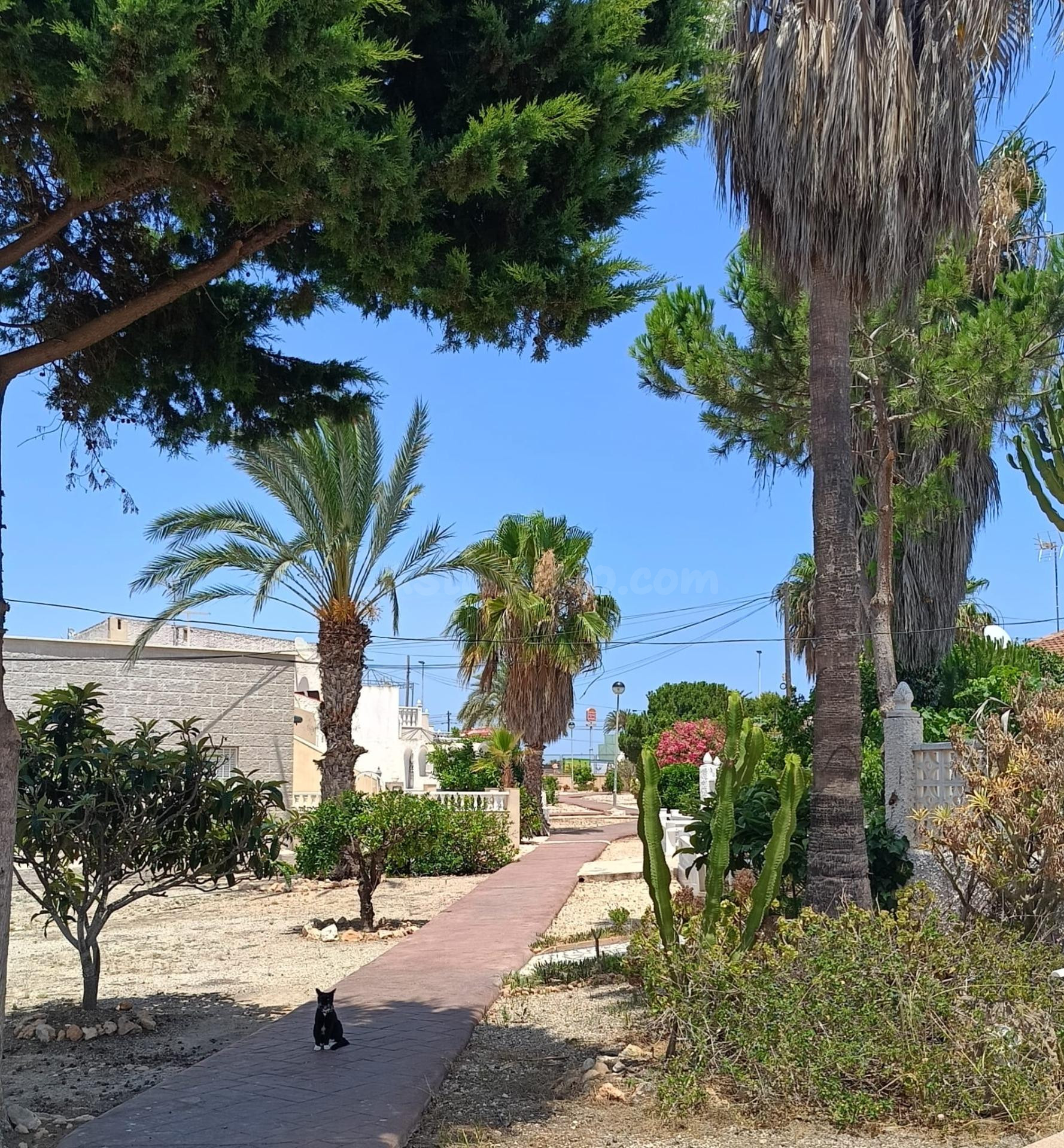 ESTUPENDA CASA ADOSADA EN TORREVIEJA - foto 19
