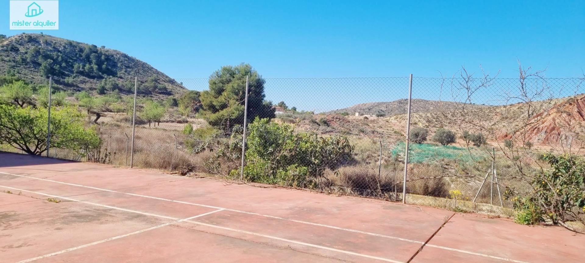 ESPECTACULAR CHALET INDEPENDIENTE CON PISCINA Y JARDÍN EN UR - foto 10