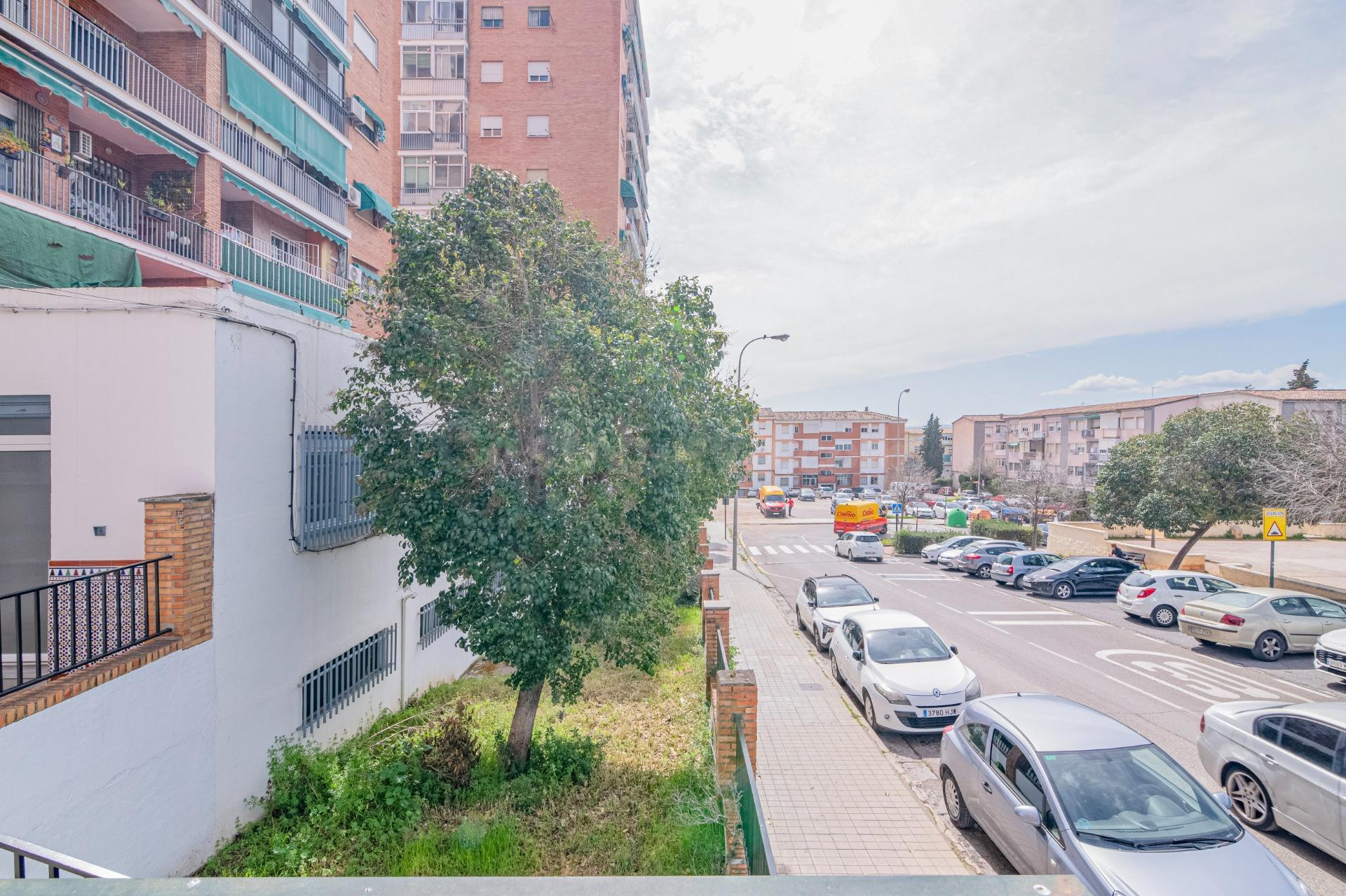 SE VENDE LOCAL COMERCIAL EN CAMPO VERDE. CARTUJA – GRANADA - foto 18