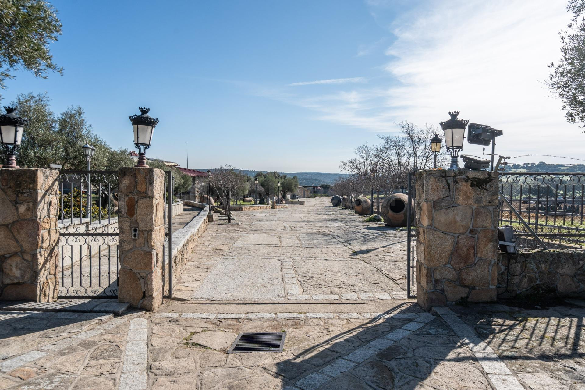 EXCLUSIVA FINCA GANADERA DE LUJO DE 93 HECTÁREAS CON PLAZA D - foto 4