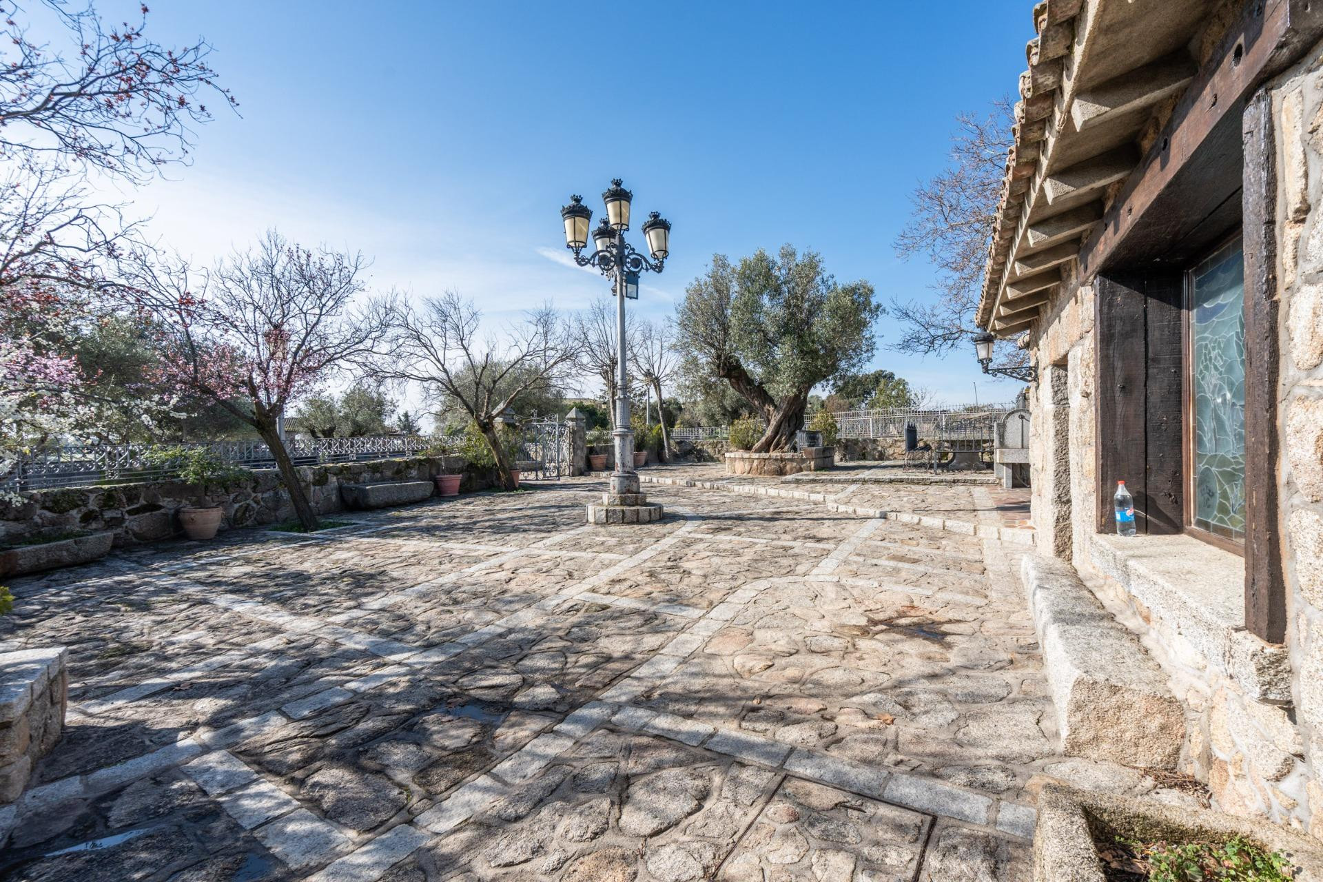 EXCLUSIVA FINCA GANADERA DE LUJO DE 93 HECTÁREAS CON PLAZA D - foto 9