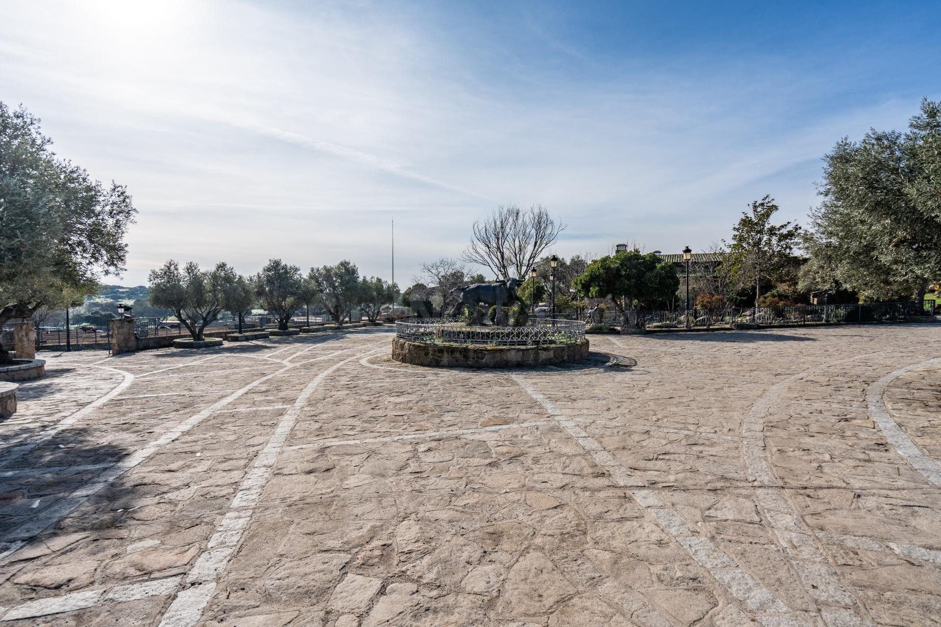 EXCLUSIVA FINCA GANADERA DE LUJO DE 93 HECTÁREAS CON PLAZA D - foto 10