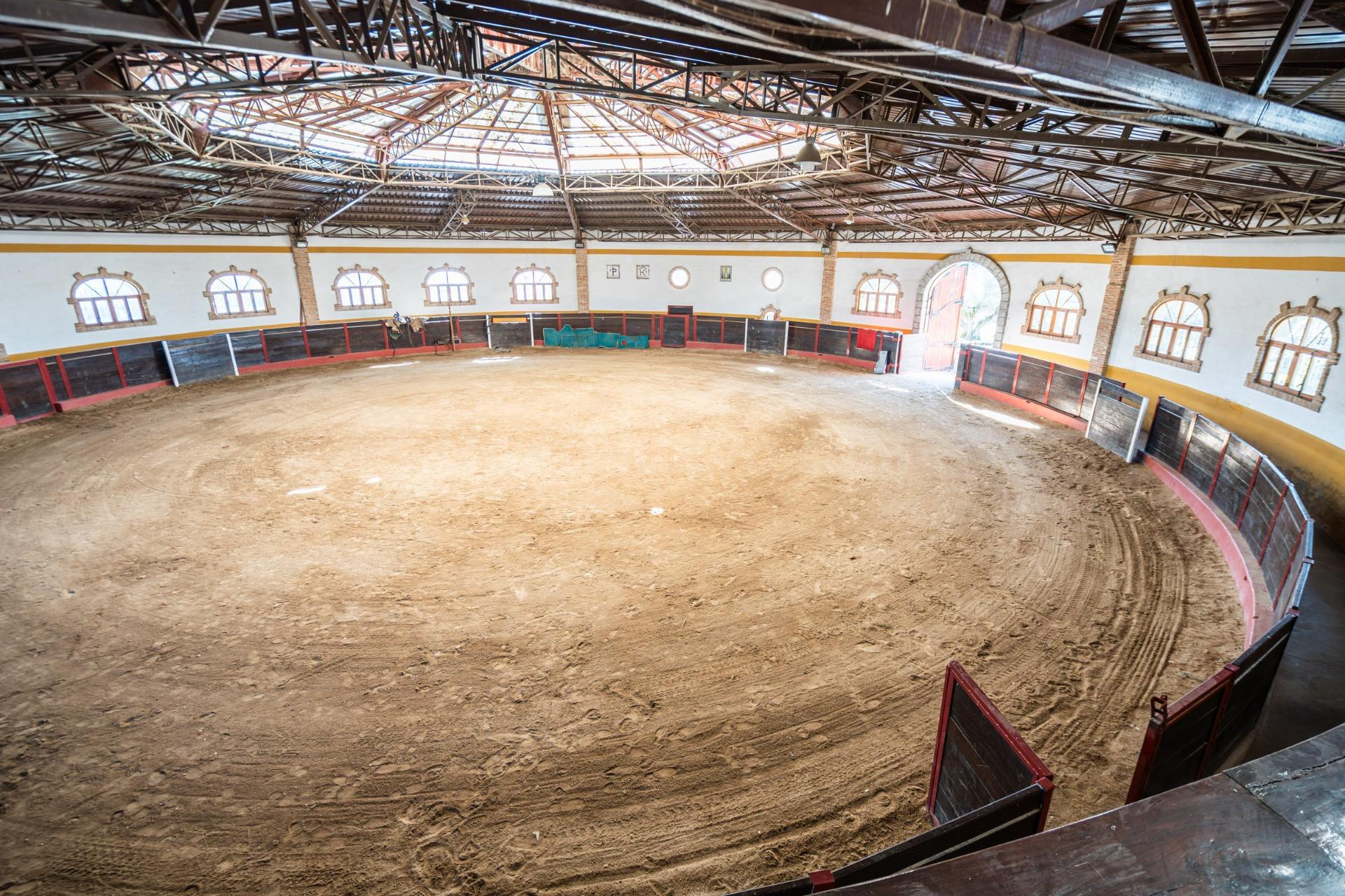 EXCLUSIVA FINCA GANADERA DE LUJO DE 93 HECTÁREAS CON PLAZA D - foto 19