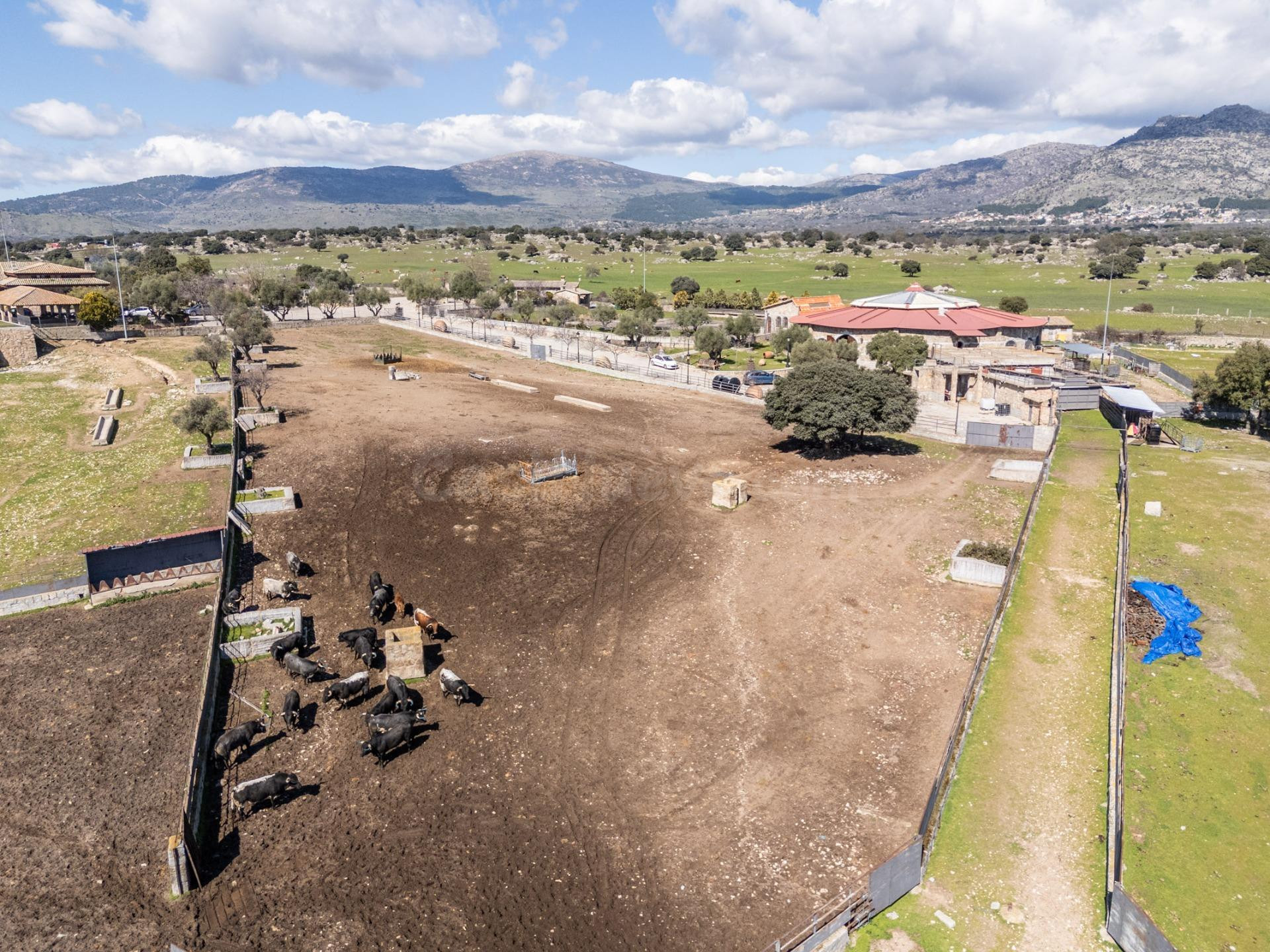EXCLUSIVA FINCA GANADERA DE LUJO DE 93 HECTÁREAS CON PLAZA D - foto 29