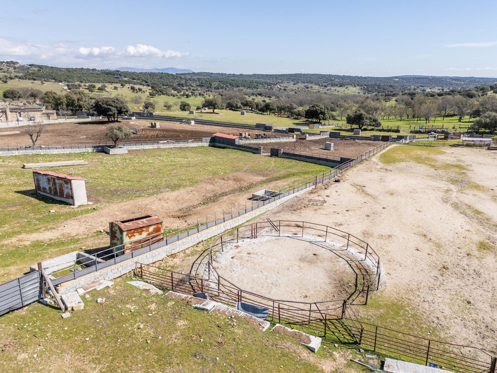 EXCLUSIVA FINCA GANADERA DE LUJO DE 93 HECTÁREAS CON PLAZA D - foto 33