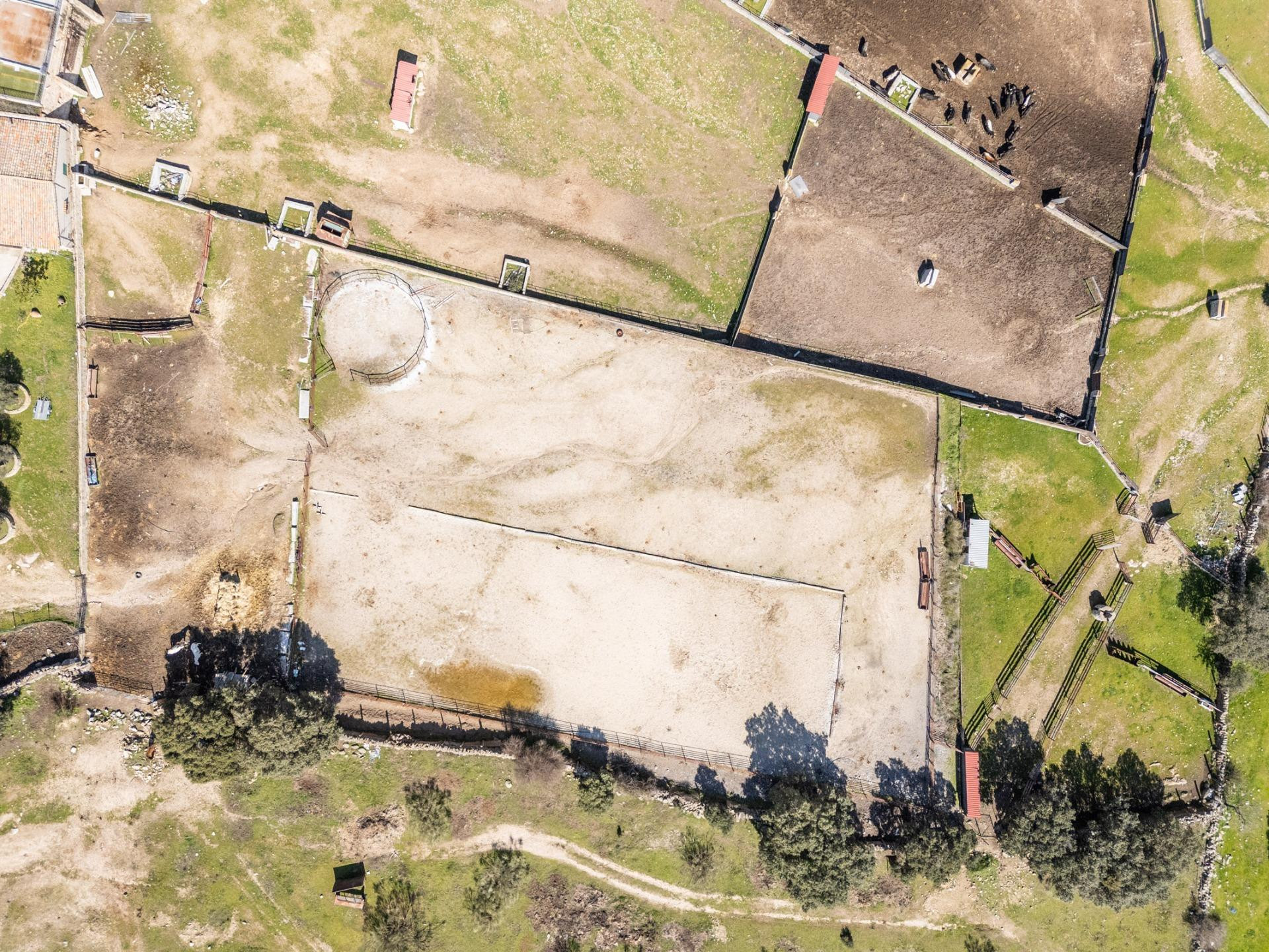 EXCLUSIVA FINCA GANADERA DE LUJO DE 93 HECTÁREAS CON PLAZA D - foto 34