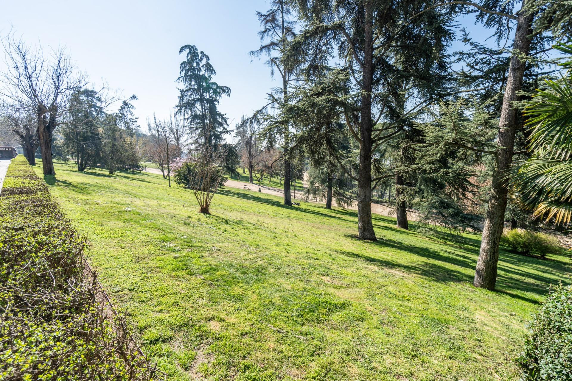 OFICINA AMPLIA, DIAFANA Y CON MÚLTIPLES POSIBILIDADES EN MON - foto 9