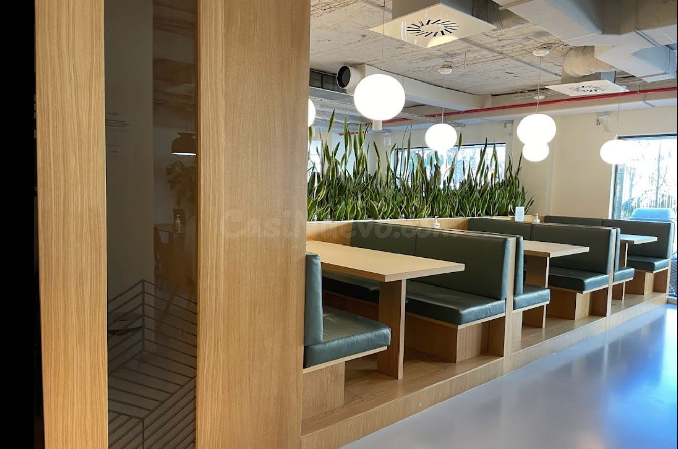 Oficina en alquiler en Paseo de la castellana - foto 11